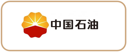 世界500强合作伙伴 12